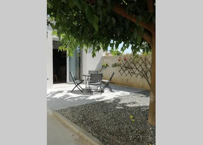 Charmant Appartement Avec Terrasse